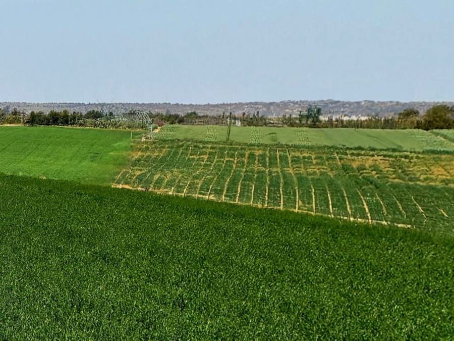 Commercial Property for Sale in Kimberley Rural Northern Cape